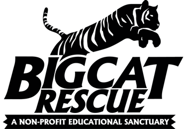 Big Cat Rescue logo