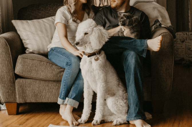 Couple with a pet dog and cat. 