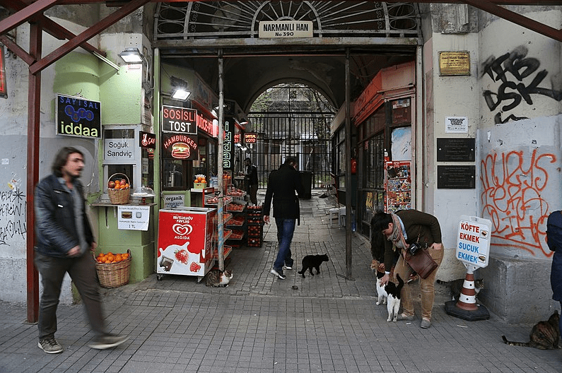 Cats outside Narmanli Han on Istiklal street, Istanbul