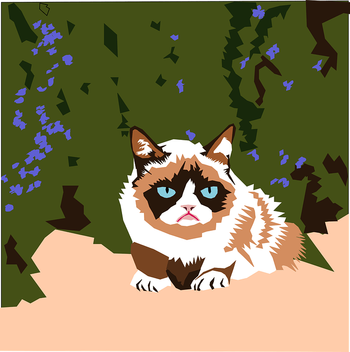 an animated version of Grumpy Cat